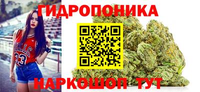 эйфоретик Моздок