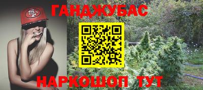 эйфоретик Моздок