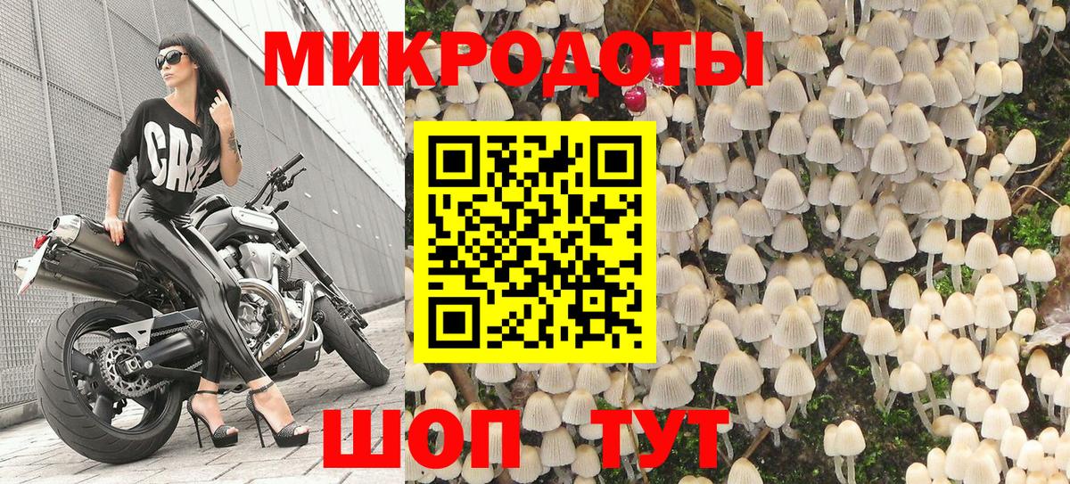 Галлюциногенные грибы мицелий Азов