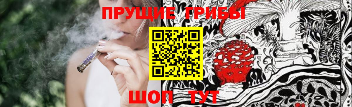 Галлюциногенные грибы мицелий  Вход с VPN  Азов  Галлюциногенные грибы Cubensis 